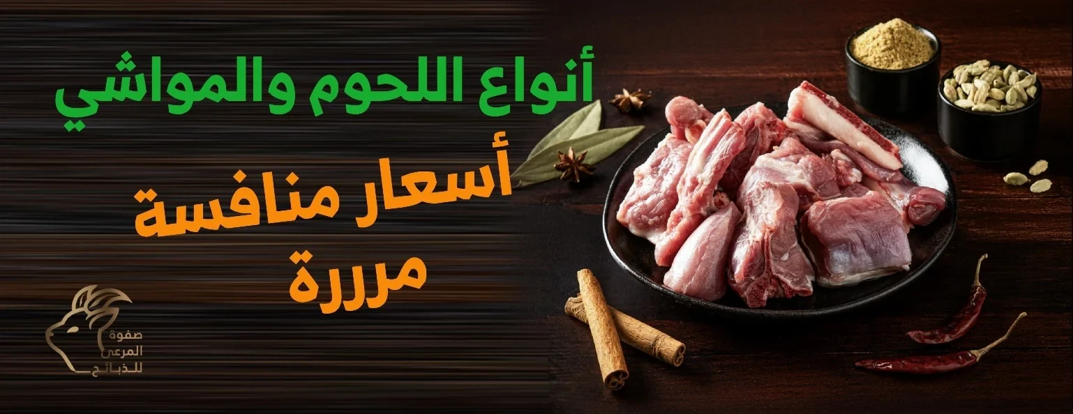 راية