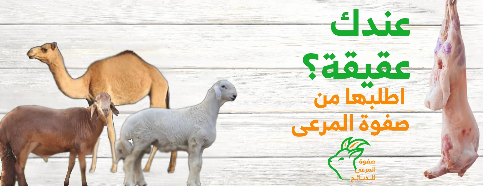 راية